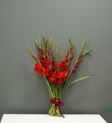 Red Gladiolus (pre-order, 5 days) photo 394x433